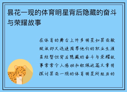 昙花一现的体育明星背后隐藏的奋斗与荣耀故事